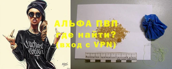 гашик Зерноград