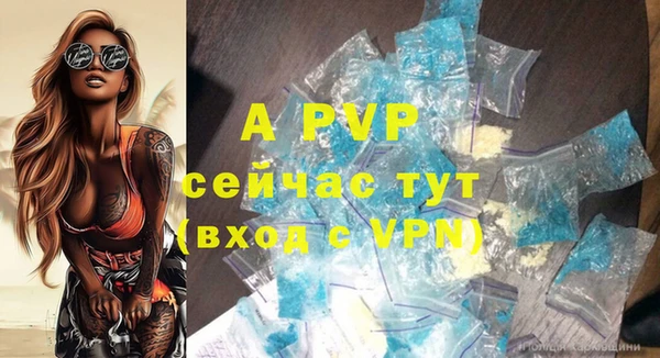 гашик Зерноград