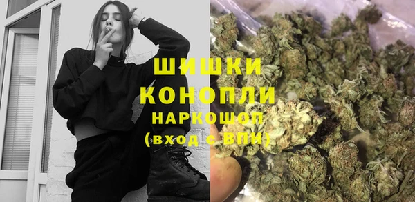 гашик Зерноград