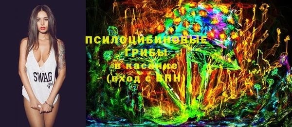 гашик Зерноград