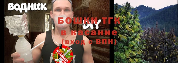 гашик Зерноград