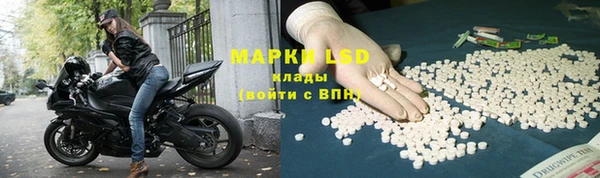 гашик Зерноград
