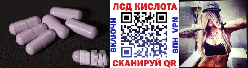 Купить где  Дмитриев  Лсд 25 экстази ecstasy 