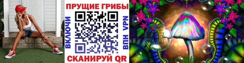 Купить  Дмитриев  Псилоцибиновые грибы мухоморы 